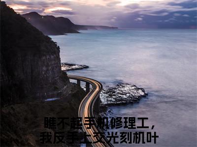 (瞧不起手机修理工，我反手上交光刻机叶辰)最新章节在线阅读-小说无弹窗免费阅读