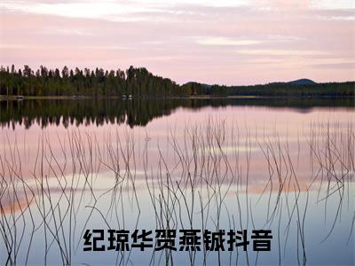 纪琼华贺燕铖免费阅读最新章节列表_笔趣阁