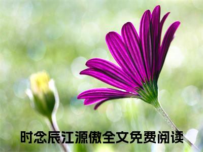 时念辰江源傲小说免费阅读无弹窗，小说名字是：时念辰江源傲的小说在线阅读无删减