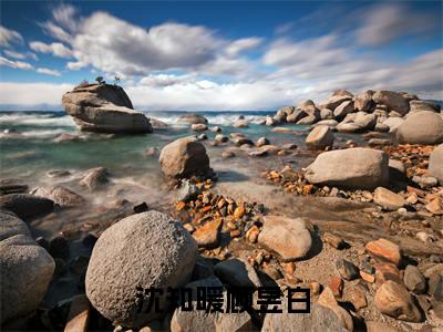 沈知暖顾昱白（沈知暖顾昱白）全文免费阅读无弹窗大结局_ (沈知暖顾昱白小说免费阅读)最新章节列表_笔趣阁（沈知暖顾昱白）