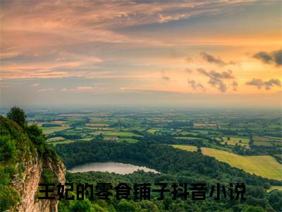 小说《苏乐乐冷亦尘》全文免费阅读无弹窗-王妃的零食铺子小说全文在线赏析_笔趣阁