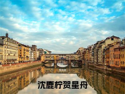在爱你这条路上，我已经走到了死路（沈鹿柠贺星舟）小说全文免费阅读_（沈鹿柠贺星舟）小说全文无删减版在线阅读