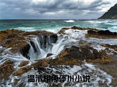 温清栩傅停川小说全文免费阅读无弹窗大结局_温清栩傅停川最新章节列表_笔趣阁