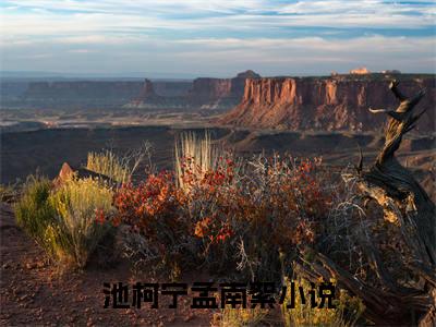 池柯宁孟南絮（沉重思念）正版小说最新章节在线阅读_（沉重思念全文免费阅读无弹窗）