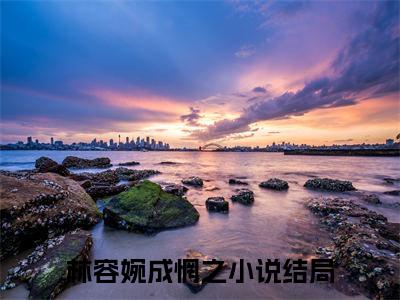 （庶女上位，冷面世子对她又娇又宠）林容婉成惘之全文免费阅读无弹窗_（林容婉成惘之小说免费阅读）最新章节列表笔趣阁