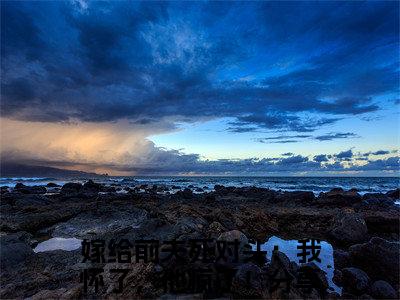 嫁给前夫死对头：我怀了，他疯了！全文免费阅读_（沈星乔池宴忱免费阅读无弹窗）嫁给前夫死对头：我怀了，他疯了！最新章节列表笔趣阁