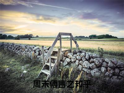 周末傅言之晚间小说全本资源-周末傅言之小说阅读在线周末傅言之
