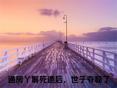 木槿纪玄小说全文免费阅读_（通房丫鬟死遁后，世子爷疯了）木槿纪玄完结版在线阅读最新章节列表笔趣阁