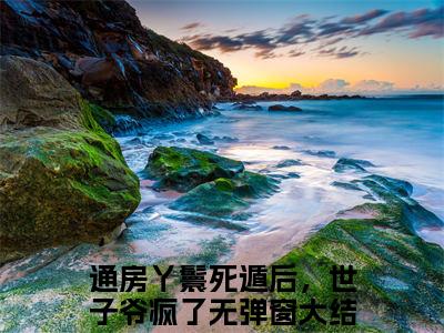 通房丫鬟死遁后，世子爷疯了（木槿纪玄）全文免费阅读无弹窗大结局_通房丫鬟死遁后，世子爷疯了小说最新章节列表_笔趣阁
