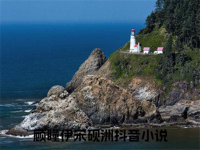 顾瞳伊宋砚洲全文免费阅读（顾瞳伊宋砚洲）全文免费阅读无弹窗大结局_顾瞳伊宋砚洲全文免费阅读最新章节列表_笔趣阁