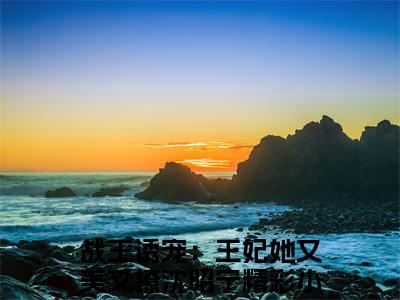 战王诱宠：王妃她又美又撩沈昭宁小说最新章节免费阅读-战王诱宠：王妃她又美又撩沈昭宁全文赏析完整版