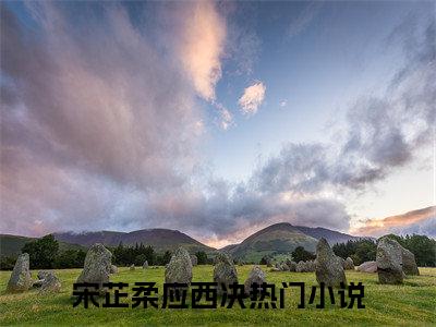 宋芷柔应西决（宋芷柔应西决）小说全文免费阅读无弹窗-宋芷柔应西决全章节在线阅读