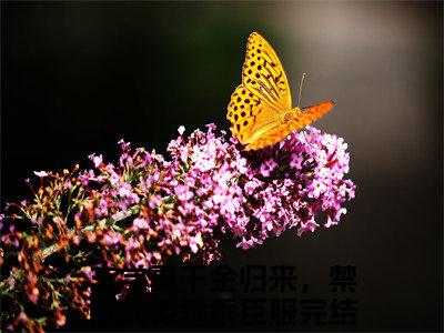 姜叙柳相无全文免费阅读在线阅读玄学真千金归来，禁欲大佬乖乖臣服全文免费阅读最新章节列表_笔趣阁