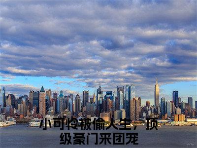 小可怜被偷人生，顶级豪门来团宠免费阅读无弹窗大结局，黎小鸭盛玉霄最新章节