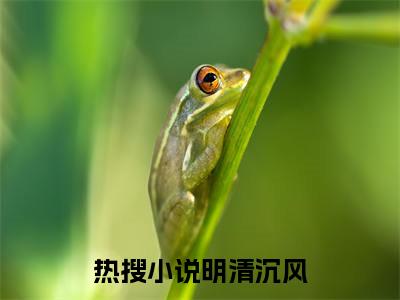 月下清风凉人气小说明清沉风创在线阅读-正版小说《明清沉风》月下清风凉全文阅读
