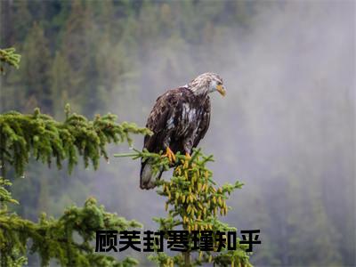 顾芙封寒瑾（顾芙封寒瑾）免费小说-顾芙封寒瑾（顾芙封寒瑾）完结版在线阅读