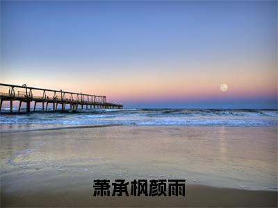 萧承枫颜雨最新完结免费阅读-萧承枫颜雨悬疑小说在线阅读