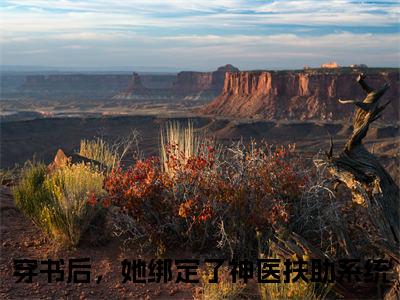 穿书后，她绑定了神医扶助系统全文免费阅读大结局-白璃卫长庚最新章节列表-笔趣阁