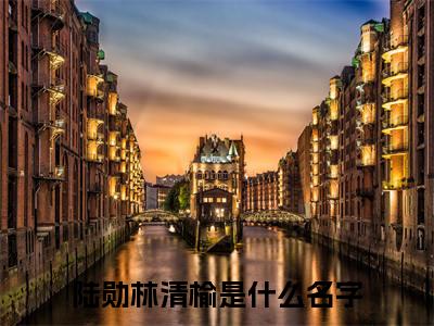 陆勋林清榆小说免费下载（陆勋林清榆完整全集已完结大结局小说）_陆勋林清榆免费阅读