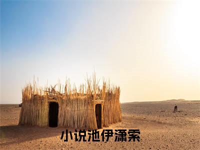 主角为池伊潇索的言情小说讲的是什么-（池伊潇索）小说在线阅读