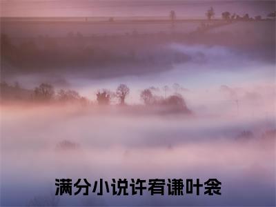 许宥谦叶衾全文小说-许宥谦叶衾小说最新章节免费阅读