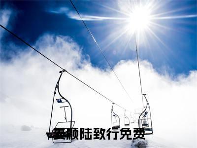 姜颖陆致行（姜颖陆致行）全文无弹窗阅读-精彩小说姜颖陆致行