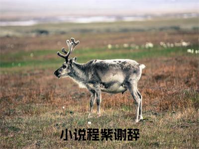 程紫谢辞小说全文免费在线阅读-程紫谢辞全文试读最新章节列表