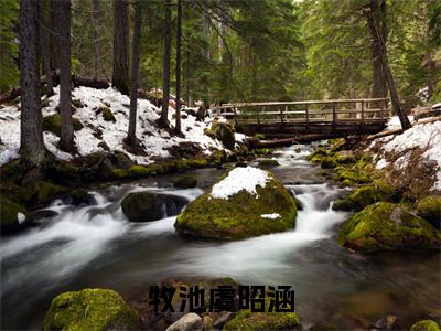 牧池虞昭涵全文推荐阅读，牧池虞昭涵热门榜单免费新书阅读
