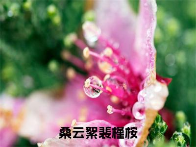 今日书单桑云絮裴槿桉最新更新-桑云絮裴槿桉全文在线观看