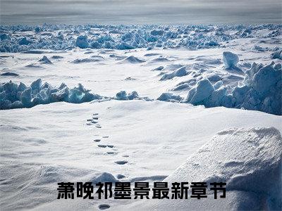 抖音热推高点击小说（萧晚祁墨景）在线阅读-萧晚祁墨景无广告阅读