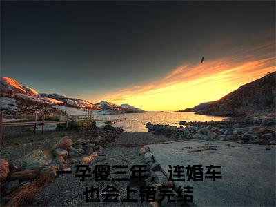 盛誉时颖（一孕傻三年，连婚车也会上错）全文免费阅读_（一孕傻三年，连婚车也会上错）最新章节列表笔趣阁（一孕傻三年，连婚车也会上错）