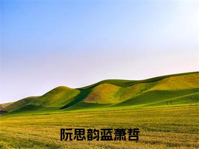 蓝萧哲阮思韵(阮思韵蓝萧哲小说)全文免费阅读无弹窗大结局_阮思韵蓝萧哲小说免费阅读最新章节列表