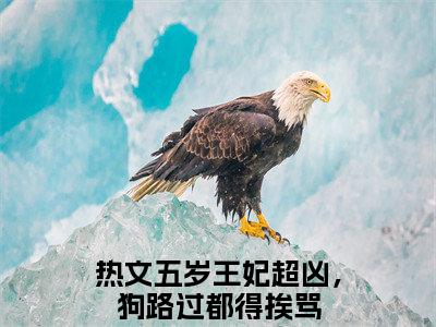 司南南凤知忧是什么小说，司南南凤知忧（五岁王妃超凶，狗路过都得挨骂）完整章节在线阅读