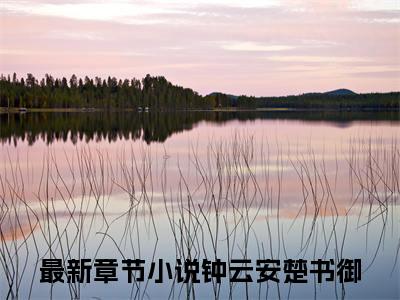 钟云安楚书御 钟云安楚书御小说（钟云安楚书御）全文免费阅读无弹窗大结局_钟云安楚书御小说最新章节列表_笔趣阁