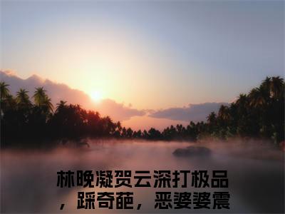 林晚凝贺云深（打极品，踩奇葩，恶婆婆震惊全家）全文免费阅读无弹窗大结局_林晚凝贺云深（打极品，踩奇葩，恶婆婆震惊全家）最新章节列表