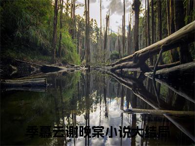季慕云谢晚棠（季慕云谢晚棠）全文免费阅读无弹窗_季慕云谢晚棠全文免费阅读最新章节大结局_笔趣阁