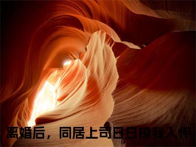 离婚后，同居上司日日撩我入怀（陆屿行季蓁）在线阅读小说全文无删减-陆屿行季蓁小说大结局