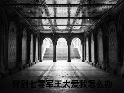苏念安齐骁（穿到七零军王太爱我怎么办）小说全文免费阅读无弹窗大结局_苏念安齐骁最新章节列表笔趣阁