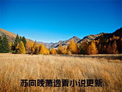 苏向晚萧逸青（苏向晚萧逸青）全文免费阅读无弹窗_苏向晚萧逸青最新小说_笔趣阁（苏向晚萧逸青）
