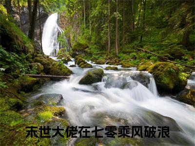 末世大佬在七零乘风破浪高赞小说（苏黎纪羡之）完结阅读_苏黎纪羡之免费看全文