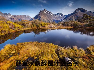 薛宜宋鹤辞精彩章节试读-薛宜宋鹤辞虐心小说免费阅读