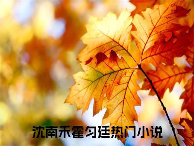 沈南禾霍匀廷小说大结局免费阅读（沈南禾霍匀廷）-完结版沈南禾霍匀廷小说免费阅读