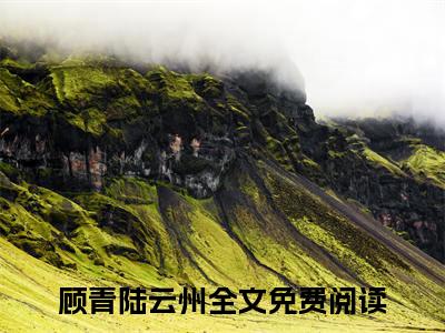 顾青陆云州主角是顾青陆云州全文免费阅读无弹窗-顾青陆云州最新章节列表-笔趣阁