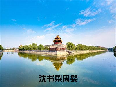 小说沈书梨周婺全文阅读-娇瘾如婚小说沈书梨周婺大结局