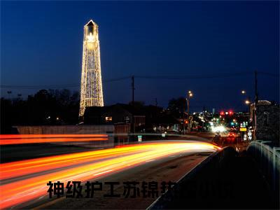 神级护工苏锦全文免费阅读无弹窗大结局_神级护工苏锦无弹窗全文阅读
