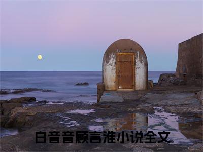 白音音顾言淮小说全文免费阅读_（宝贝儿，别离婚命都给你）白音音顾言淮完结版在线阅读最新章节列表笔趣阁