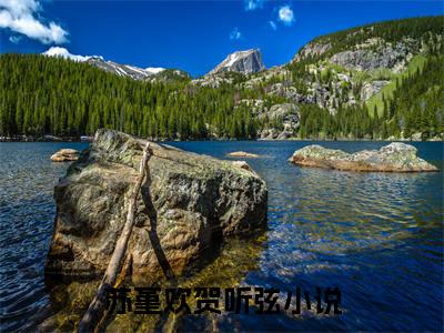 苏堇欢贺听弦小说（苏堇欢贺听弦）全文免费阅读无弹窗_苏堇欢贺听弦全文免费阅读无弹窗最新章节列表笔趣阁（苏堇欢贺听弦）