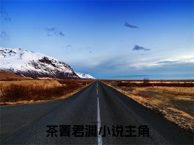 茶菁君渊免费阅读结局茶菁君渊无弹窗全本免费阅读