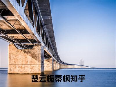 楚云栀秦枫热门小说在哪免费看-小说（楚云栀秦枫）完整版全文在线赏析