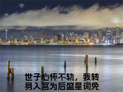 世子心怀不轨，我转身入宫为后盛星词小说（世子心怀不轨，我转身入宫为后盛星词）全文免费阅读-世子心怀不轨，我转身入宫为后盛星词全文阅读无弹窗